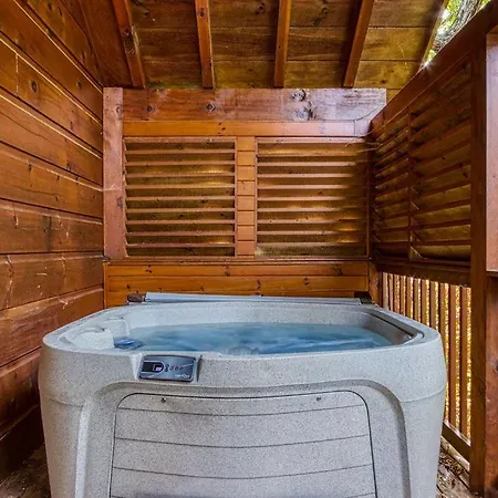 The Nut House, Hot Tub, Game Room, Wifi, 1089 Free Tickets Each Paid Day, Dollywood And More! Pigeon Forge Exterior photo
